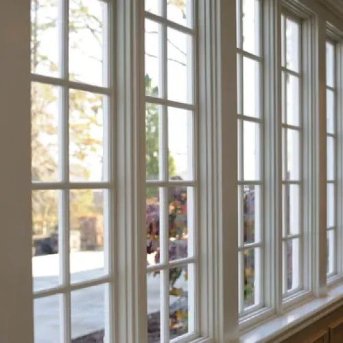 Standard, French, and Storm Windows